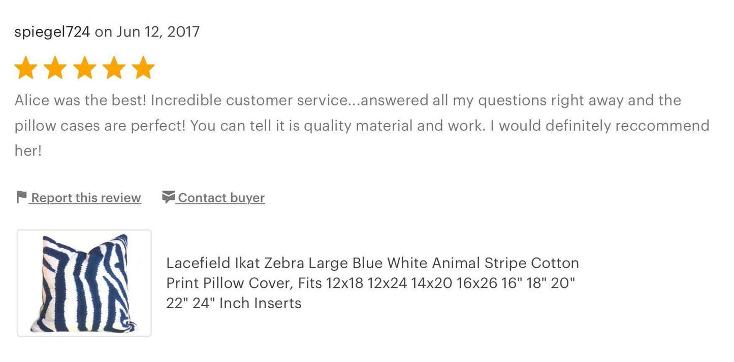 Ikat Zebra Large Blue White Animal Stripe Pillow Cover (Made from Lacefield Designs fabric) Cushion Pillow Case Euro Sham 16x16 18x18 20x20 22x22 24x24 26x26 28x28 Lumbar Pillow 12x18 12x20 12x24 14x20 16x26 by Aloriam